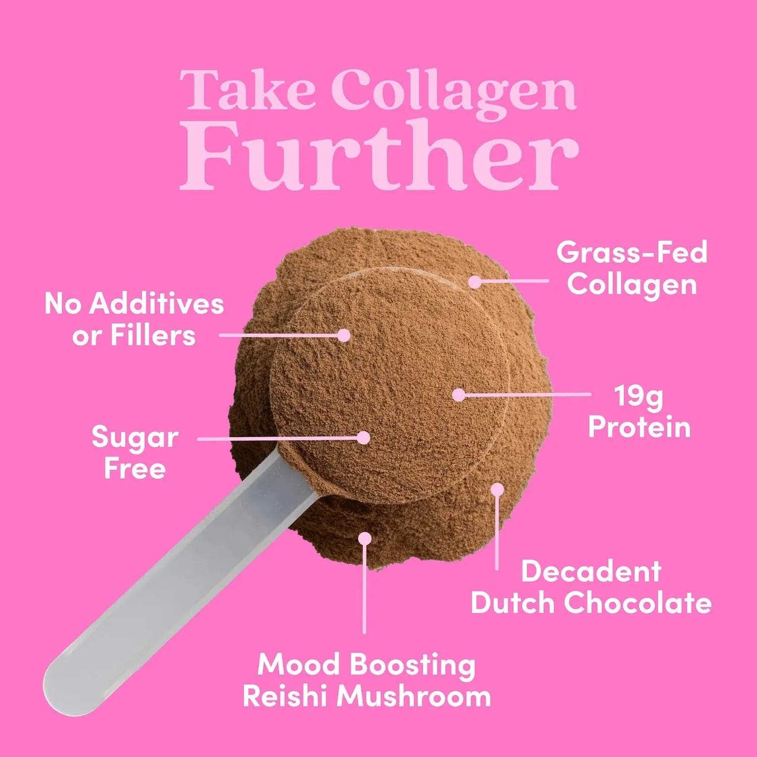 Chocolate Collagen Peptides Powder - Further Food -  