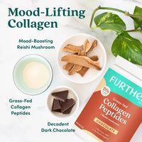 Chocolate Collagen Peptides Powder - Further Food -  