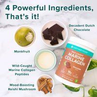 Further Food Chocolate Marine Collagen Simply 4 Powerful Ingredients: Decadent Dutch Chocolate, Monkfruit, Wild-Caught Marine Collagen Peptides and Mood-Boosting Reishi Mushroom